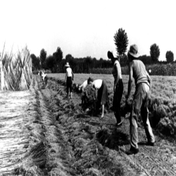 L'Azienda